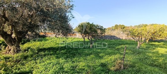 Terreno em Palmela, Portugal 7320 m² N.º 74579 22
