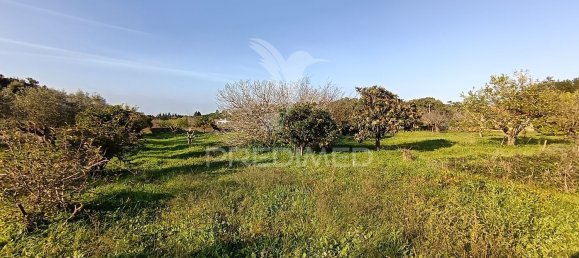 Terreno em Palmela, Portugal 7320 m² N.º 74579 20