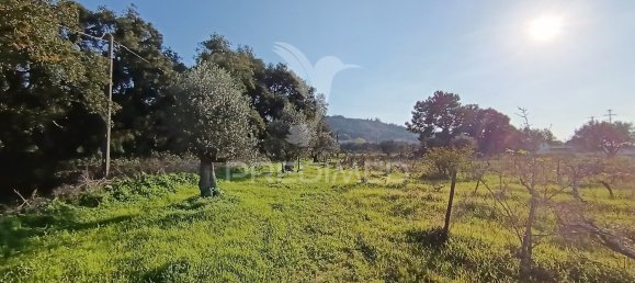 Terreno em Palmela, Portugal 7320 m² N.º 74579 7