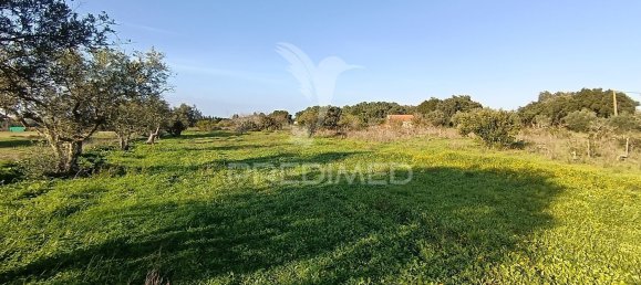Terreno em Palmela, Portugal 7320 m² N.º 74579 15