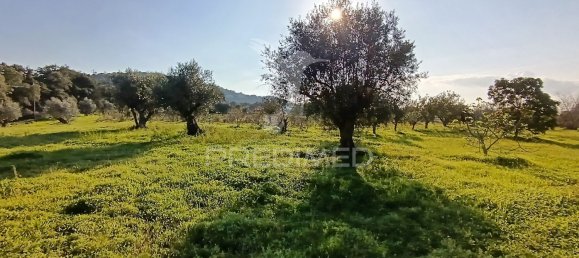 Terreno em Palmela, Portugal 7320 m² N.º 74579 3