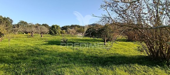 Terreno em Palmela, Portugal 7320 m² N.º 74579 29