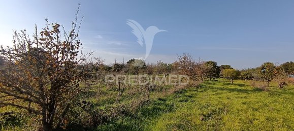 Terreno em Palmela, Portugal 7320 m² N.º 74579 6
