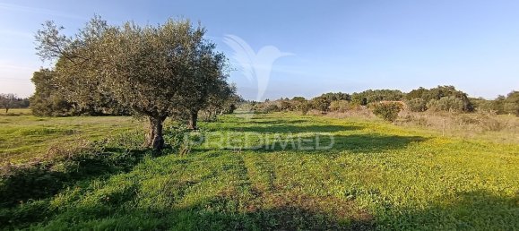 Terreno em Palmela, Portugal 7320 m² N.º 74579 13