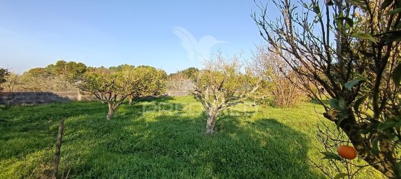 Terreno em Palmela, Portugal 7320 m² N.º 74579 23