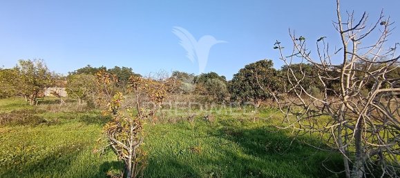 Terreno em Palmela, Portugal 7320 m² N.º 74579 18