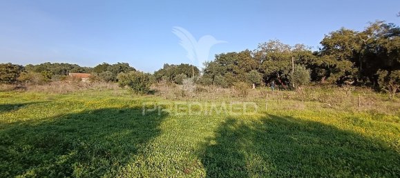 Terreno em Palmela, Portugal 7320 m² N.º 74579 16