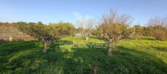 Terreno em Palmela, Portugal 7320 m² N.º 74579 24