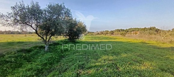 Terreno em Palmela, Portugal 7320 m² N.º 74579 12