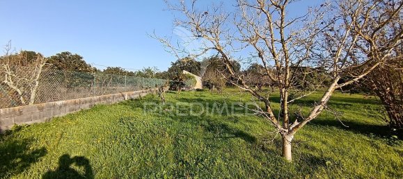 Terreno em Palmela, Portugal 7320 m² N.º 74579 28