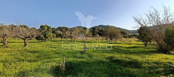 Terreno em Palmela, Portugal 7320 m² N.º 74579 30