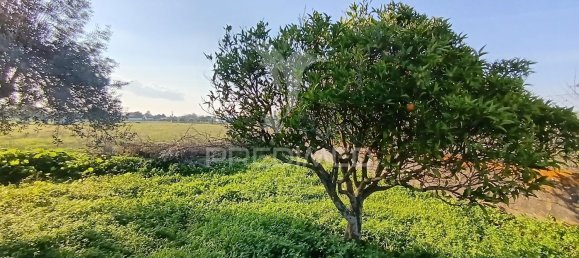 Terreno em Palmela, Portugal 7320 m² N.º 74579 26