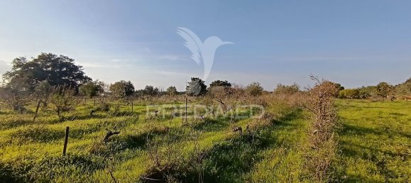 Terreno em Palmela, Portugal 7320 m² N.º 74579 8