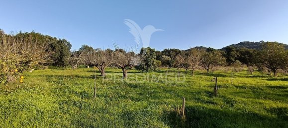Terreno em Palmela, Portugal 7320 m² N.º 74579 31