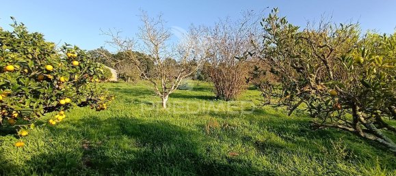 Terreno em Palmela, Portugal 7320 m² N.º 74579 27