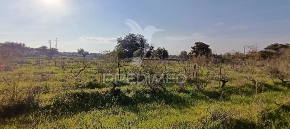 Terreno em Palmela, Portugal 7320 m² N.º 74579 5