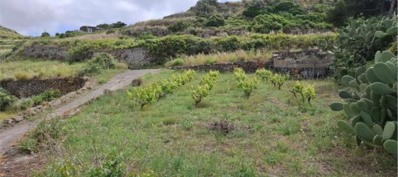 6 غرف نوم فيلا في Pantelleria, Italy رقم 315551 10