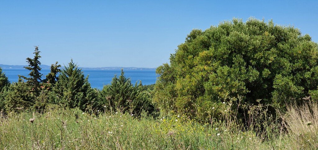 4000m² Hotel for sale in Chalkidiki, Central Macedonia, Macedonia and Thrace, Greece № 3938