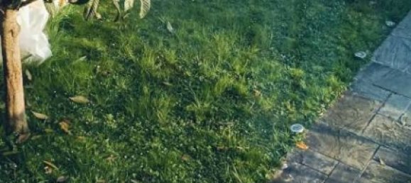 2 Schlafzimmer Haus in Basiglio, Italy, Nr. 251944 2