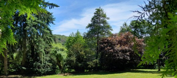 136m² Building in Birkenfeld, Germany No. 231709 8