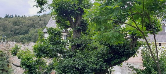 136m² Building in Birkenfeld, Germany No. 231709 14