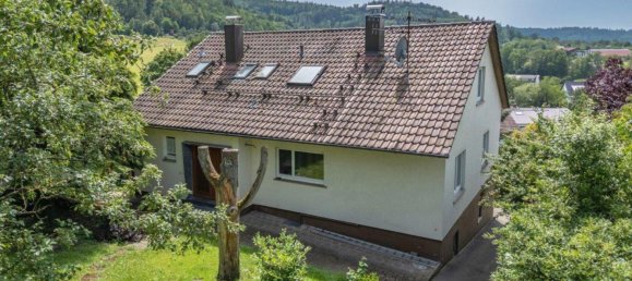 Дом с 10 комнатами в Ремс-Мур, Германия № 54127 11