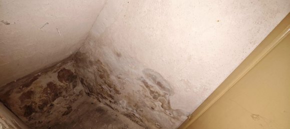 Дом с 4 спальнями в Рельеф, Испания № 151030 11