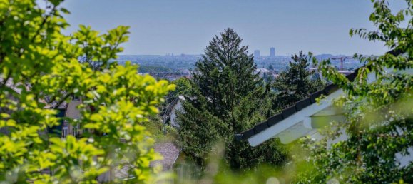 7 rooms Villa in Klosterneuburg, Austria No. 142048 14