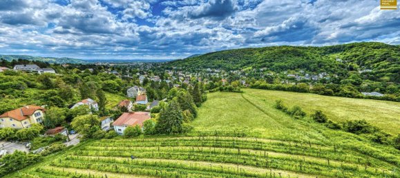 7 rooms Villa in Klosterneuburg, Austria No. 142048 9