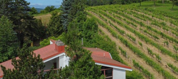 7 rooms Villa in Klosterneuburg, Austria No. 142048 3