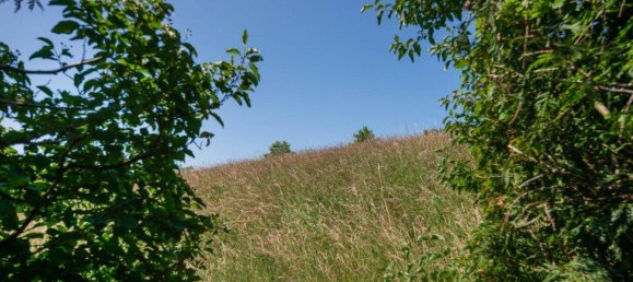 7 rooms Villa in Klosterneuburg, Austria No. 142048 19