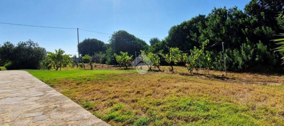 5-Zimmer Villa in Sardinia, Italy, Nr. 276326 4