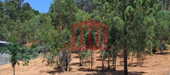 11000m² Land in Remelhe, Portugal No. 191738 6