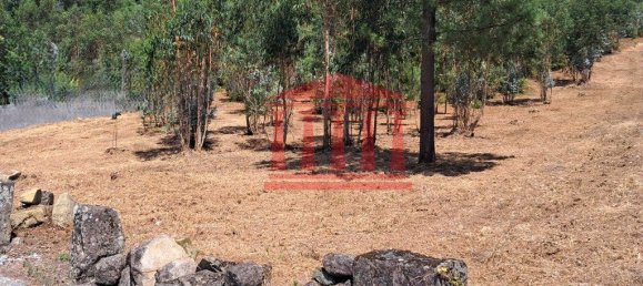 11000m² Land in Remelhe, Portugal No. 191738 9