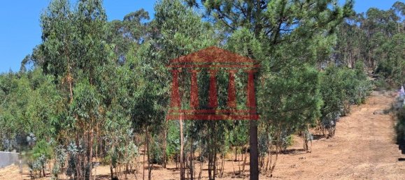 11000m² Land in Remelhe, Portugal No. 191738 5