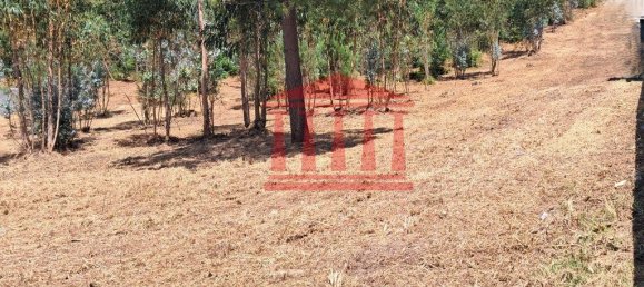 11000m² Land in Remelhe, Portugal No. 191738 4