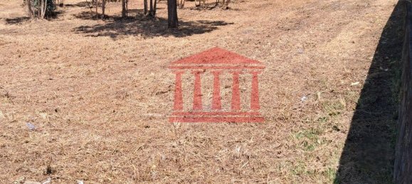 11000m² Land in Remelhe, Portugal No. 191738 3