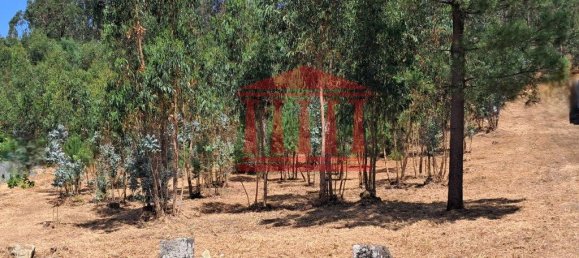 11000m² Land in Remelhe, Portugal No. 191738 8