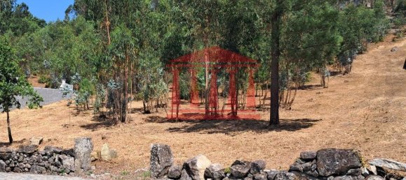 11000m² Land in Remelhe, Portugal No. 191738 10