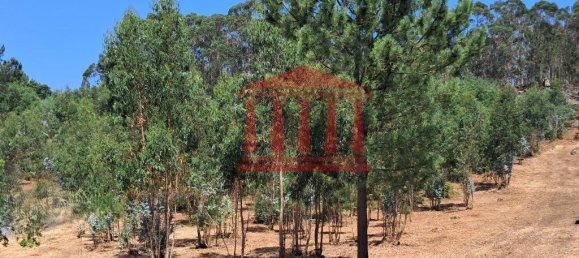 11000m² Land in Remelhe, Portugal No. 191738 7