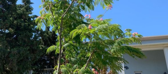 10 bedrooms Villa in Sabunchu, Azerbaijan No. 1186 20