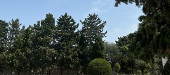 10 bedrooms Villa in Sabunchu, Azerbaijan No. 1186 14