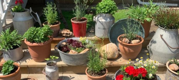 10 bedrooms Villa in Sabunchu, Azerbaijan No. 1186 13