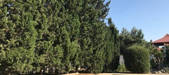 10 bedrooms Villa in Sabunchu, Azerbaijan No. 1186 4