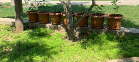 10 bedrooms Villa in Sabunchu, Azerbaijan No. 1186 8