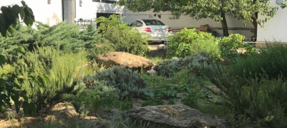 10 bedrooms Villa in Sabunchu, Azerbaijan No. 1186 15