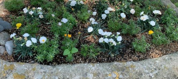 10 bedrooms Villa in Sabunchu, Azerbaijan No. 1186 9