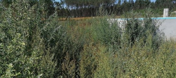 Casa de 7 dormitorios en Leiria, Portugal No. 152705 17