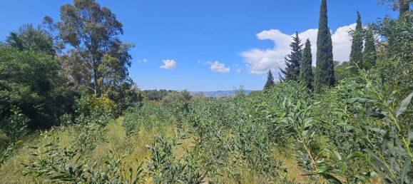 5 bedrooms Villa in Mijas, Spain No. 23555 26