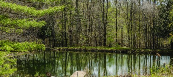 4 غرف نوم منزل في Eastman, Canada رقم 799 8